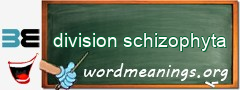 WordMeaning blackboard for division schizophyta
